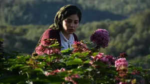 Задник до фильму"" #372503