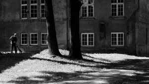 Задник до фильму"" #537701