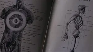 Задник до фильму"Донні Дарко" #528233