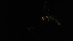 Задник до фильму"Дикі серцем" #865169