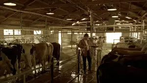 Задник до фильму"Ерін Брокович" #663531