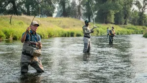 Задник до фильму"Загоїти серце" #387227