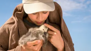 Задник до фильму"Розправ крила" #417423