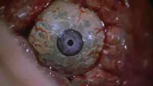 Задник до фильму"" #712817