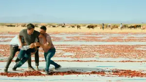 Задник до фильму"" #737166