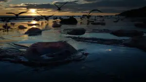 Задник до фильму"Бердмен" #802487