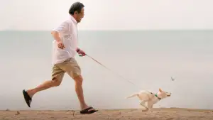 Задник до фильму"โกฮัง..หัวใจโกโฮม" #796486