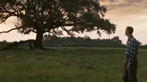 Задник до фильму"Форрест Ґамп" #528551