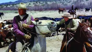 Задник до фильму"" #671031