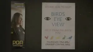 Задник до фильму"Birds Eye View" #573923