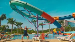 Задник до фильму"Colegas e o Herdeiro" #772520