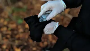 Задник до фильму"Femte Mission" #776000