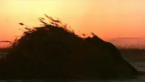 Задник до фильму"Дерсу Узала" #751355