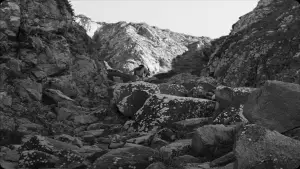 Задник до фильму"" #541476