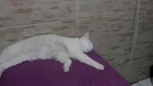 Задник до фильму"" #564823