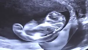 Задник до фильму"" #696062