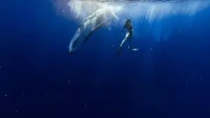 Задник до фильму"" #542553