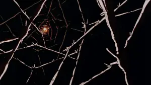 Задник до фильму"Макросс: Чи пам