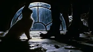 Задник до фильму"Ворон" #503413