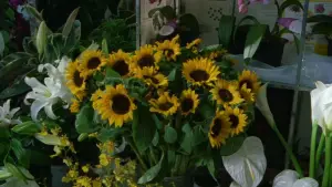 Задник до фильму"Феєрверк" #710955