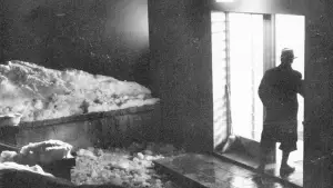 Задник до фильму"" #744827