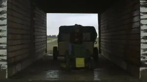 Задник до фильму"Проста історія" #529164