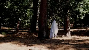 Задник до фильму"This House Is Totally Haunted" #774379