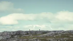 Задник до фильму"" #673864