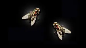 Задник до фильму"Муха 2" #384583