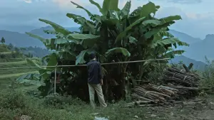 Задник до фильму"" #478334