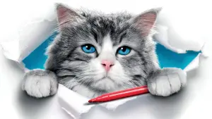 Задник до фильму"Дев’ять життів" #390564