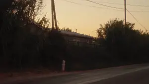 Задник до фильму"Crau" #777550