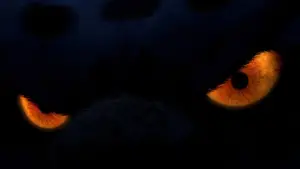 Задник до фильму"Панда Кунг-Фу" #569002