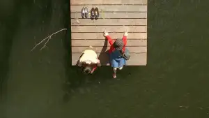 Задник до фильму"Історія двох сестер" #811002