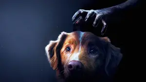 Задник до фильму"Хороший хлопчик" #517150