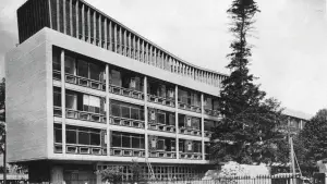 Задник до фильму"Birdemic : Champion Terror" #792016