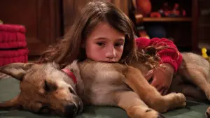 Задник до фильму"Мій вовк" #237530