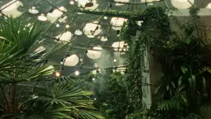 Задник до фильму"Fractais Tropicais" #822398