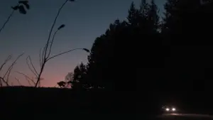 Задник до фильму"" #673582