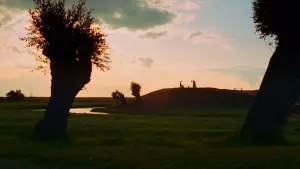 Задник до фильму"Ельвіра Мадіґан" #196667