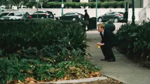 Задник до фильму"" #591200