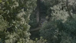 Задник до фильму"Одне ціле" #527882