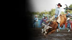 Задник до фильму"" #645812