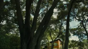 Задник до фильму"Гарний хлопчик" #693597