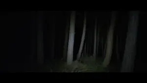 Задник до фильму"" #473604