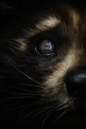 Постер до фильму"Вартові галактики 3" #560566