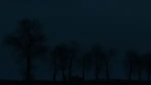 Задник до фильму"Гидка сестра" #519178