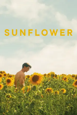 Постер до фильму"Sunflower" #820121