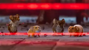 Задник до фильму"Вполювати мишу. Різдвяна бійка" #556136