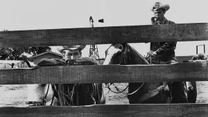 Задник до фильму"" #623376